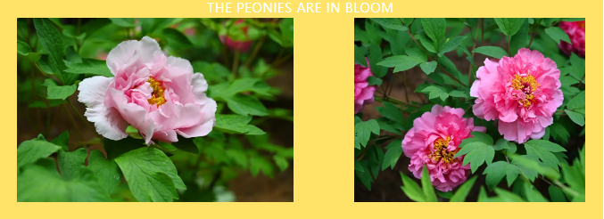 1719192822433130.png image.png